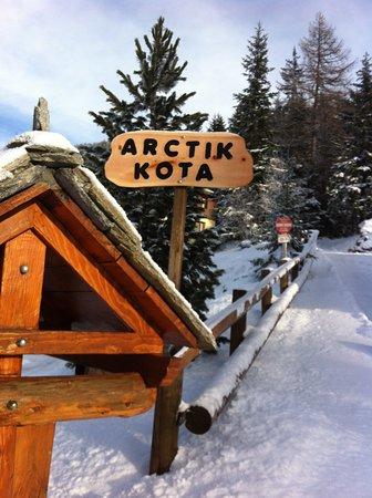 Arctik-Kota