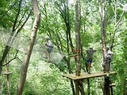 la Foresta degli Avventurieri