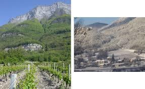 Domaine Bouvet