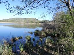 Lacs de Chevelu