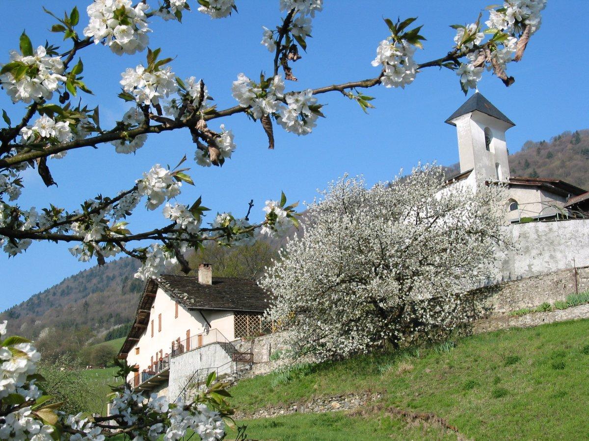 église Saint-Michel de La Croix-de-la-Rochette
