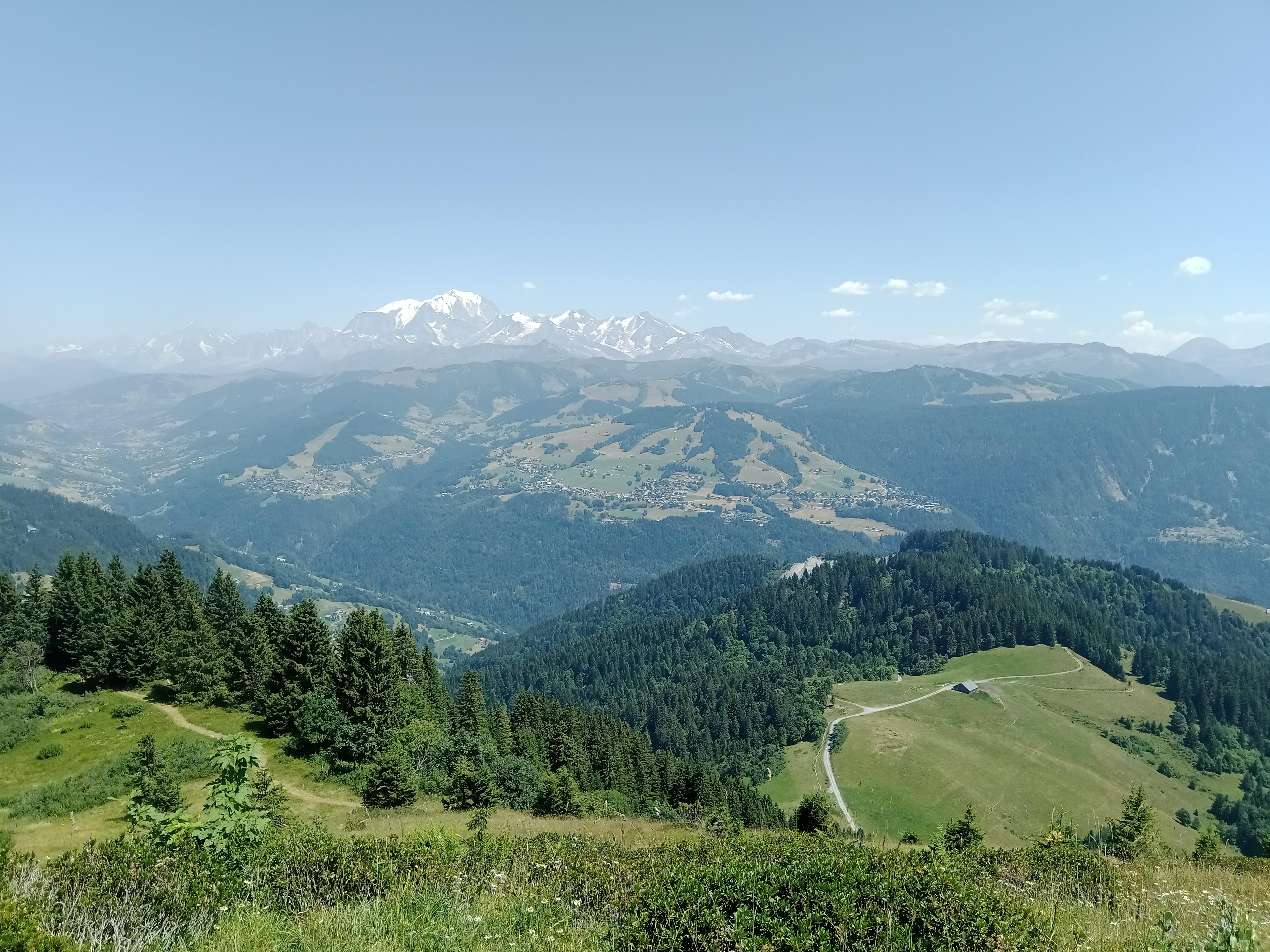 Lachat