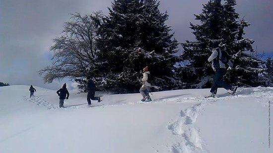 Ecole de VTT La Feclaz