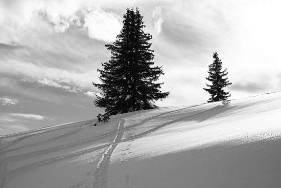 Les Sentiers d'Helene