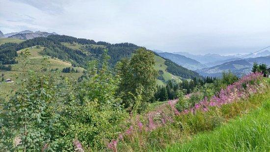 Col de l'Arpettaz