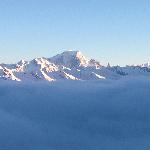 Le Chardonnet