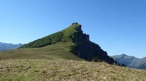 roche Parstire